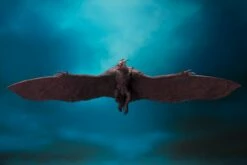 Bandai S.H. Monsterarts Godzilla: King Of The Monsters Mothra And Rodan Action Figure -GOOD SMILE COMPANY Shop 4573102574466f 483eb075 3edb 44ea 8ad9 845a0377784b