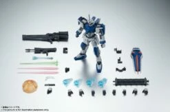 Bandai Robot Spirits #R-304 GAT-X102 Duel Gundam Ver. A.N.I.M.E. Action Figure