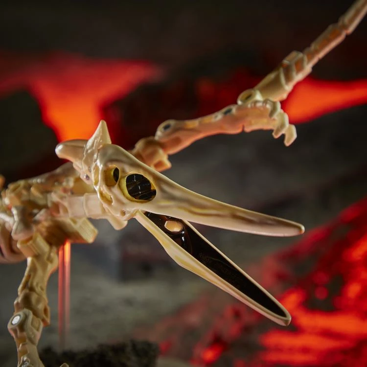 Hasbro Transformers Generations War For Cybertron: Kingdom Deluxe Wingfinger Action Figure WFC-K25 10 Hasbro Transformers Generations War For Cybertron: Kingdom Deluxe Wingfinger Action Figure WFC-K25 - Image 8